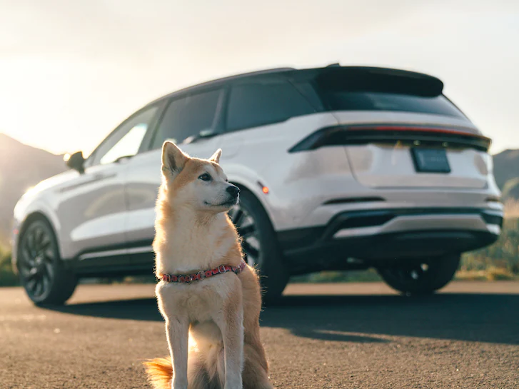 Dog sitting next to parked Lincoln SUV
