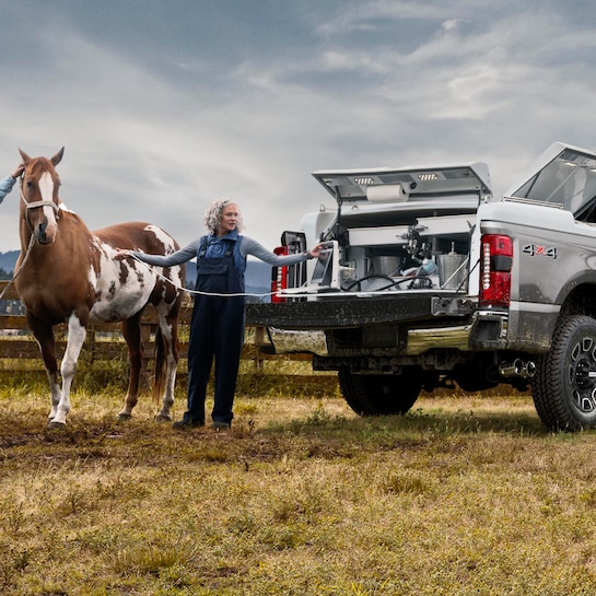 A 2025 Ford F-150® pickup with a woman checking out a horse